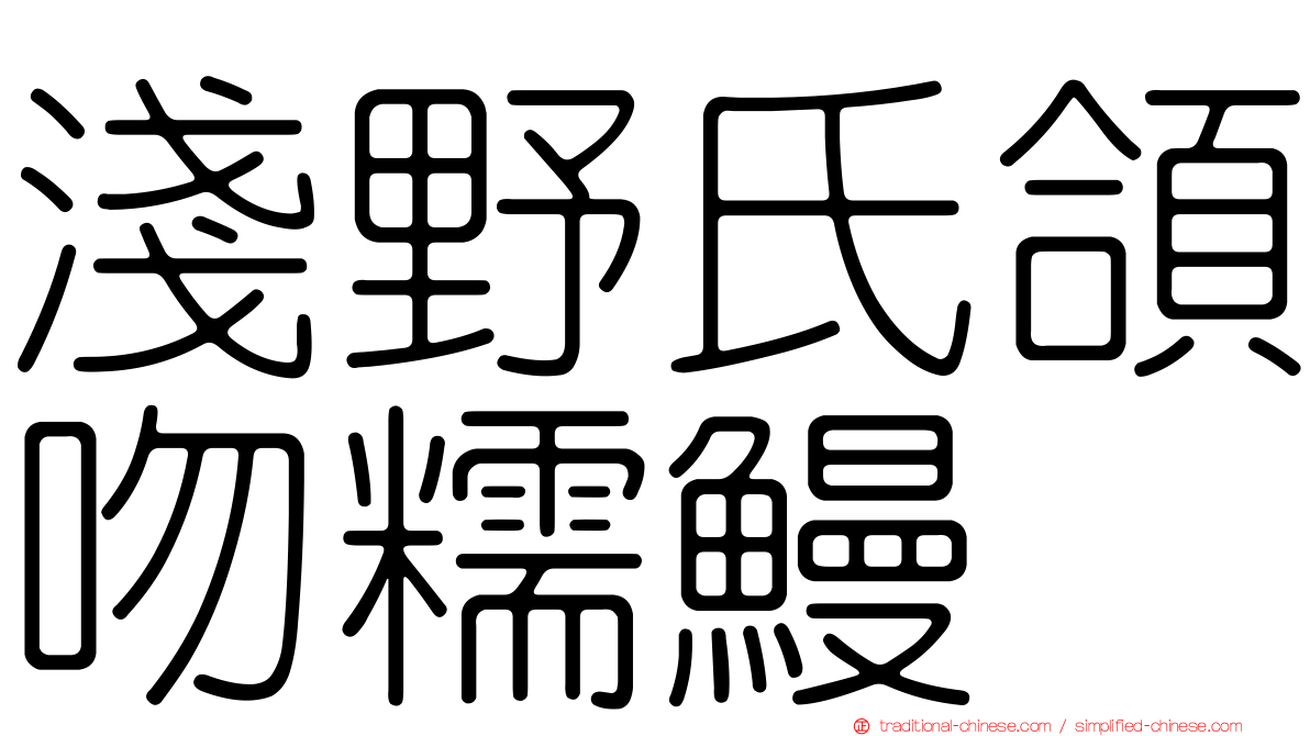 淺野氏頜吻糯鰻