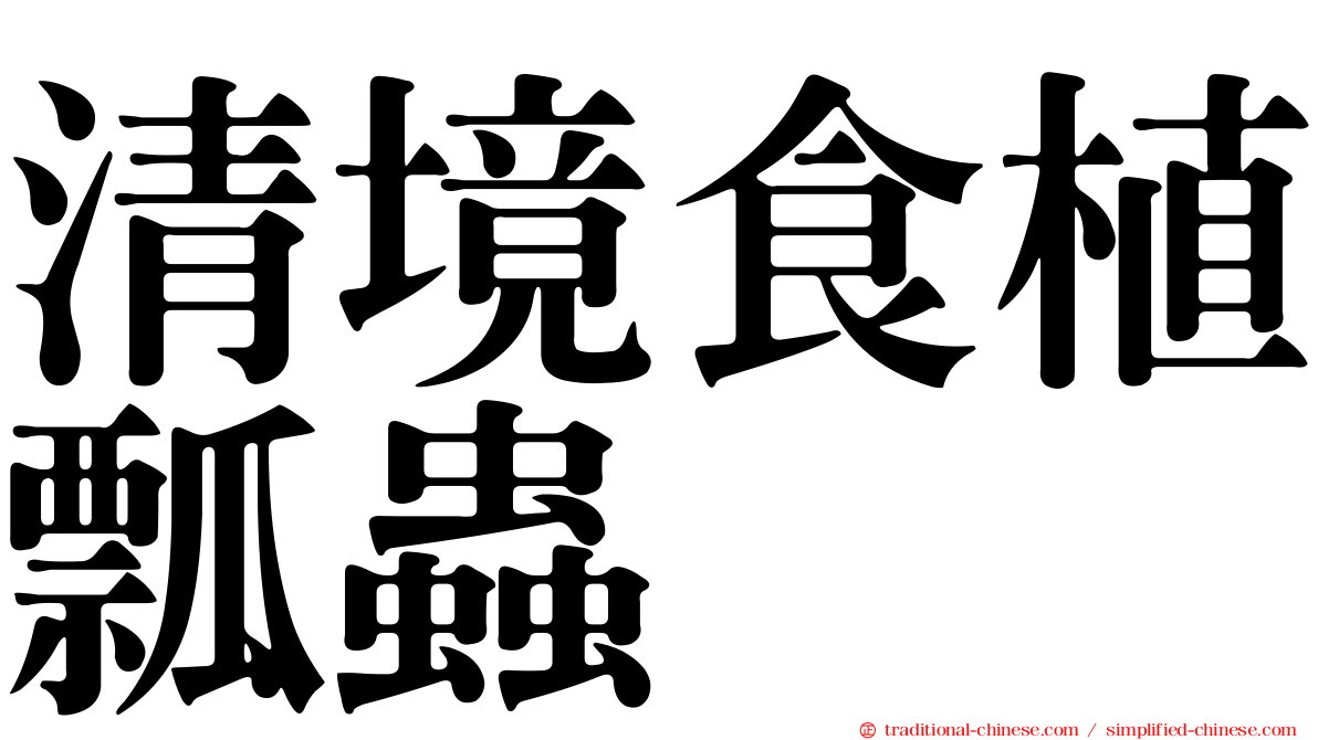 清境食植瓢蟲