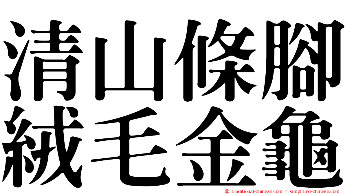 清山條腳絨毛金龜