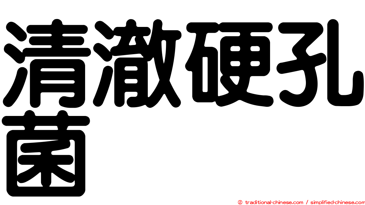 清澈硬孔菌