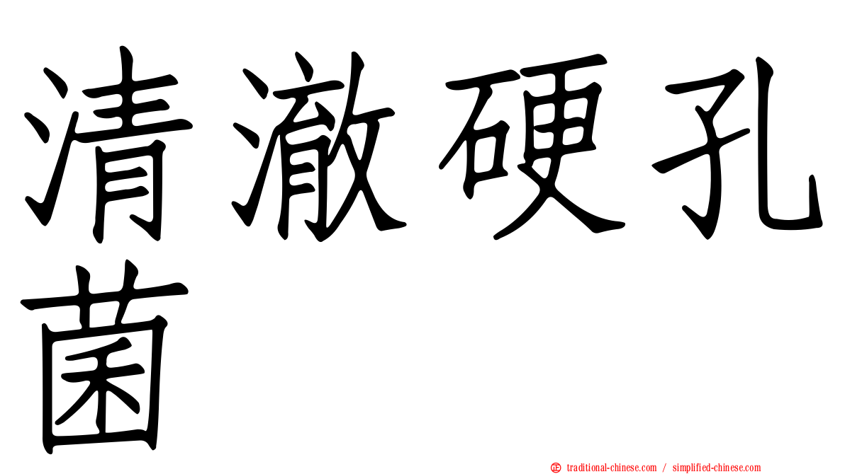 清澈硬孔菌