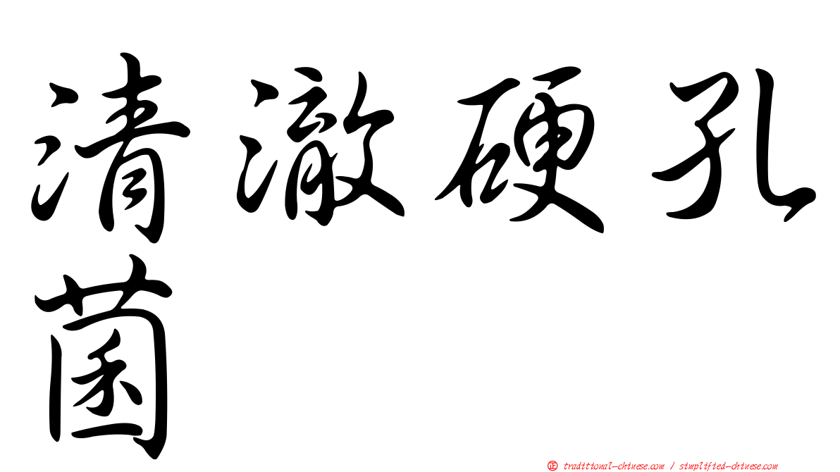 清澈硬孔菌
