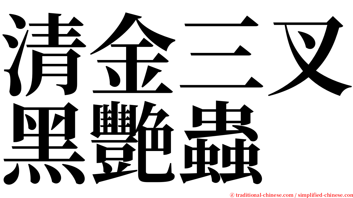 清金三叉黑艷蟲 serif font