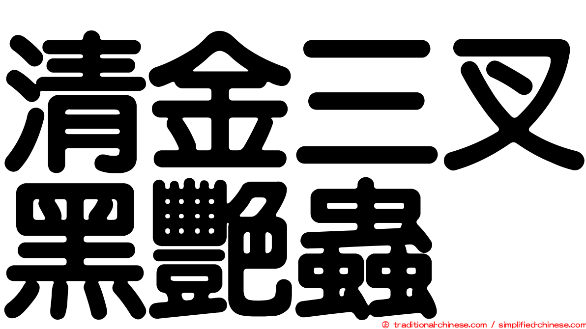 清金三叉黑艷蟲