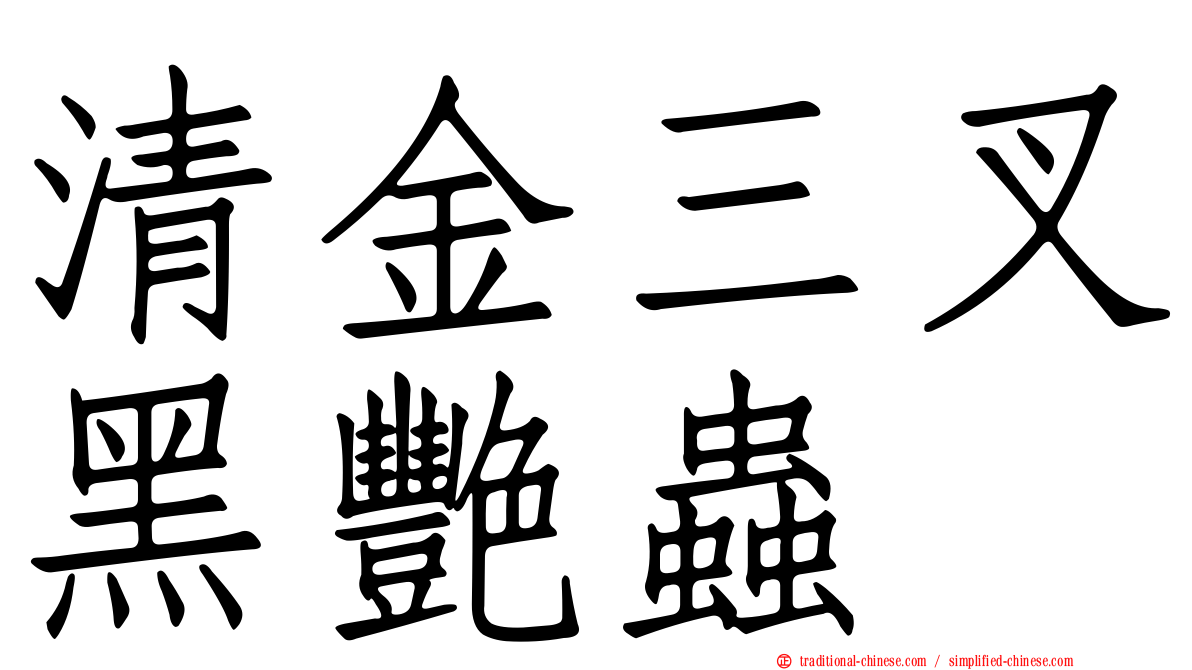 清金三叉黑艷蟲