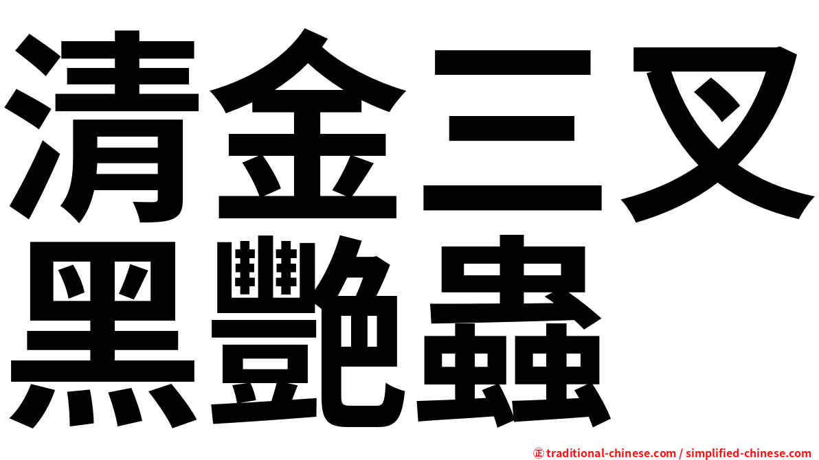 清金三叉黑艷蟲