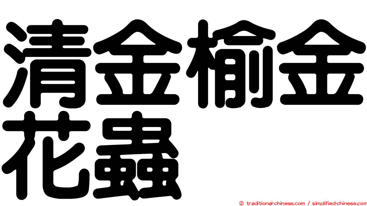 清金榆金花蟲