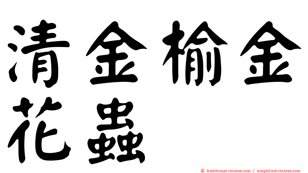 清金榆金花蟲