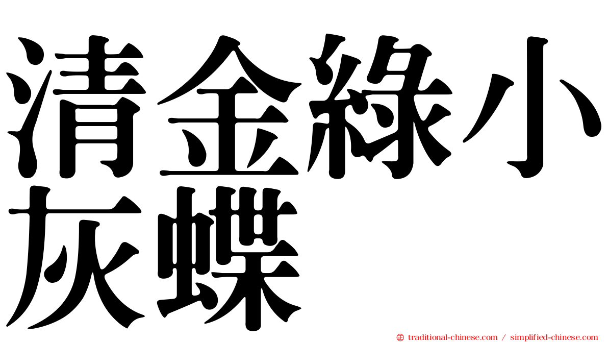 清金綠小灰蝶