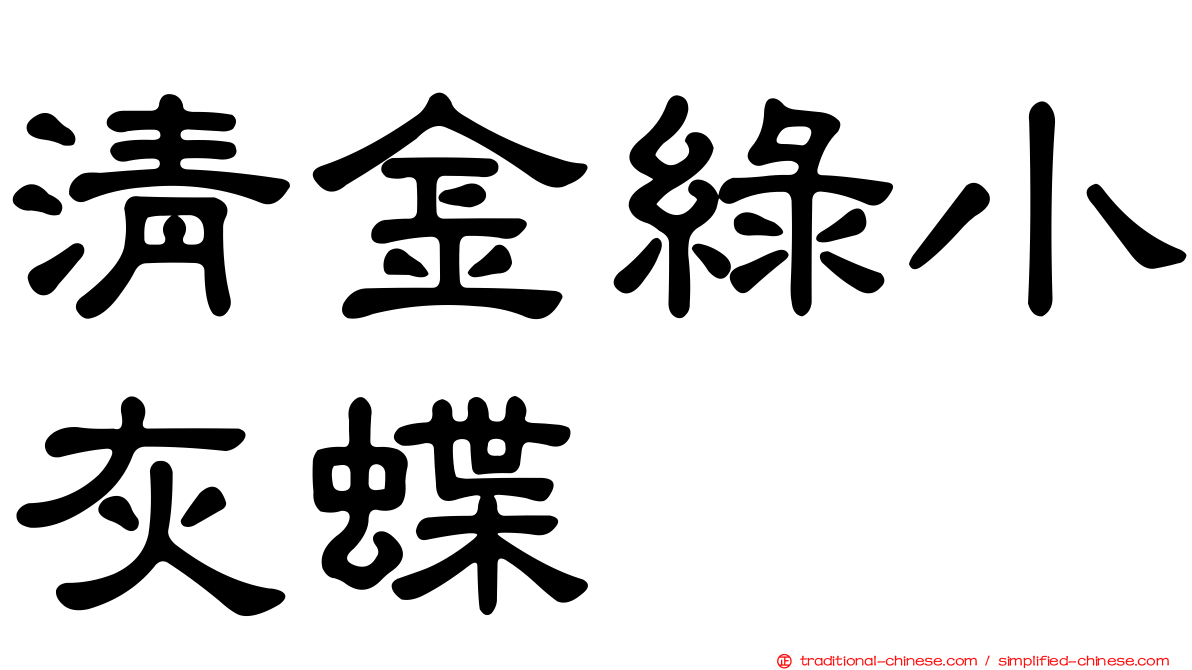 清金綠小灰蝶