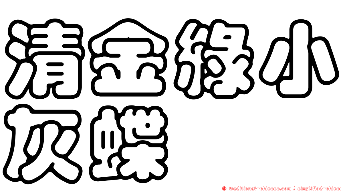 清金綠小灰蝶