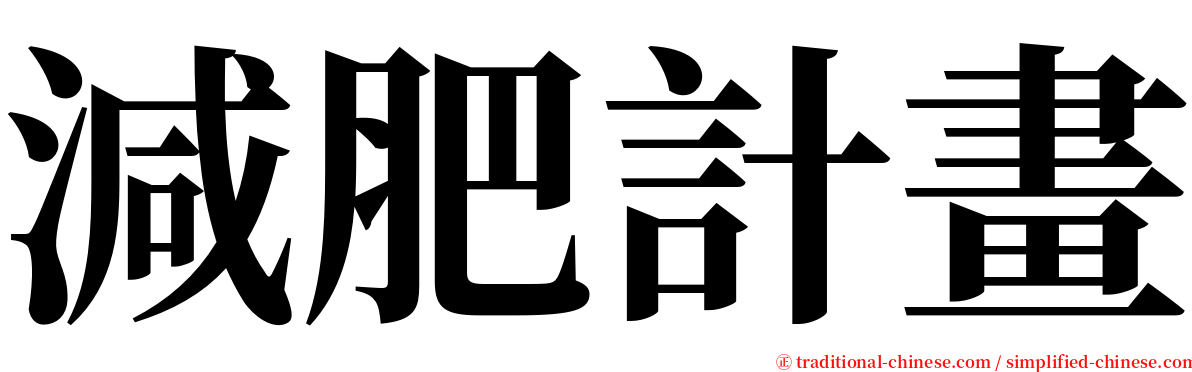 減肥計畫 serif font