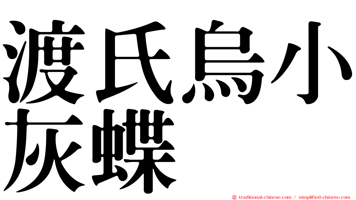 渡氏烏小灰蝶