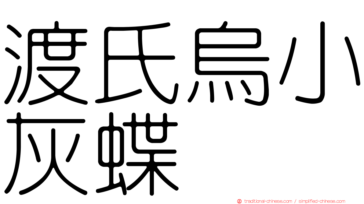 渡氏烏小灰蝶