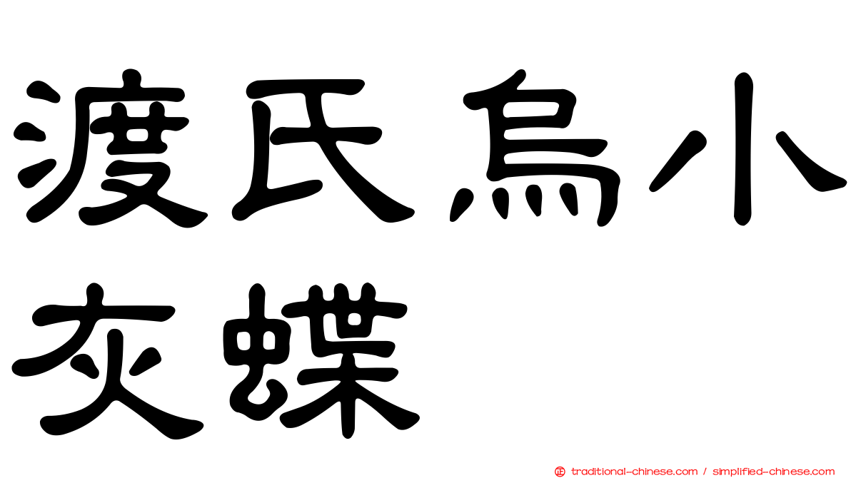 渡氏烏小灰蝶