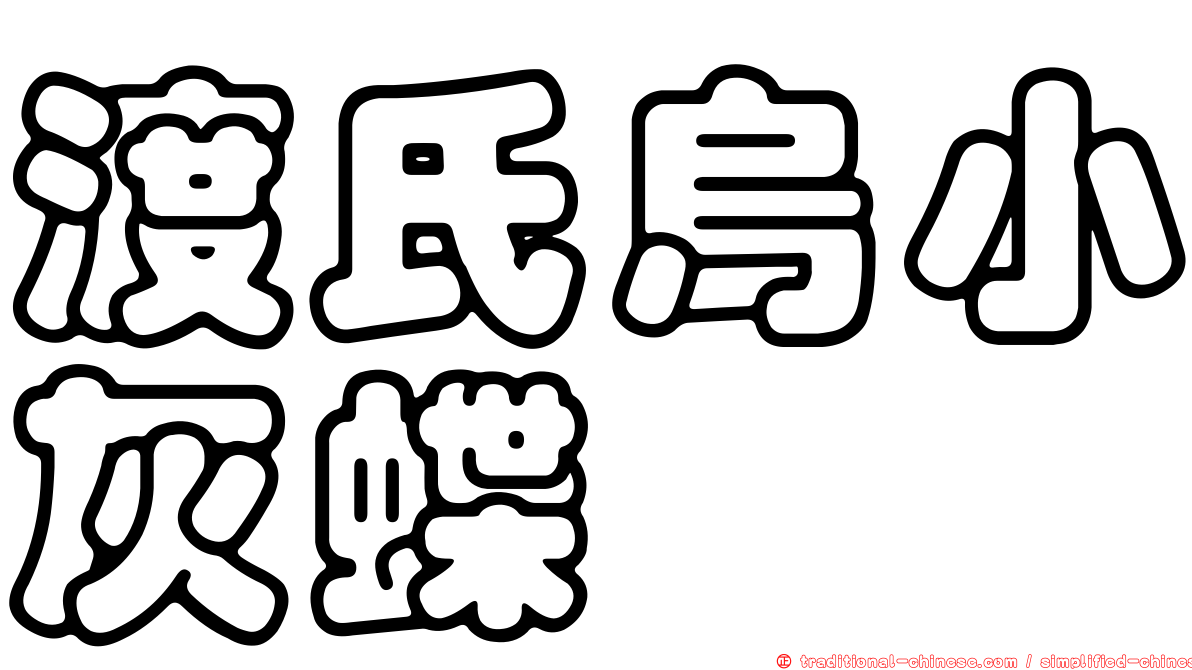 渡氏烏小灰蝶