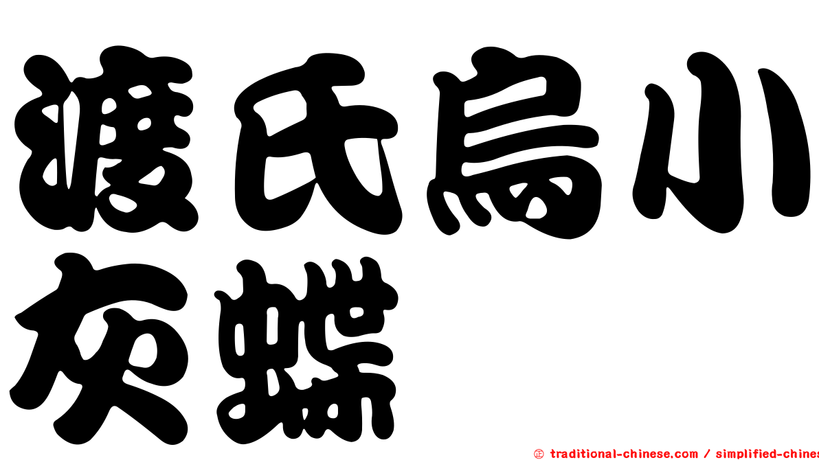 渡氏烏小灰蝶