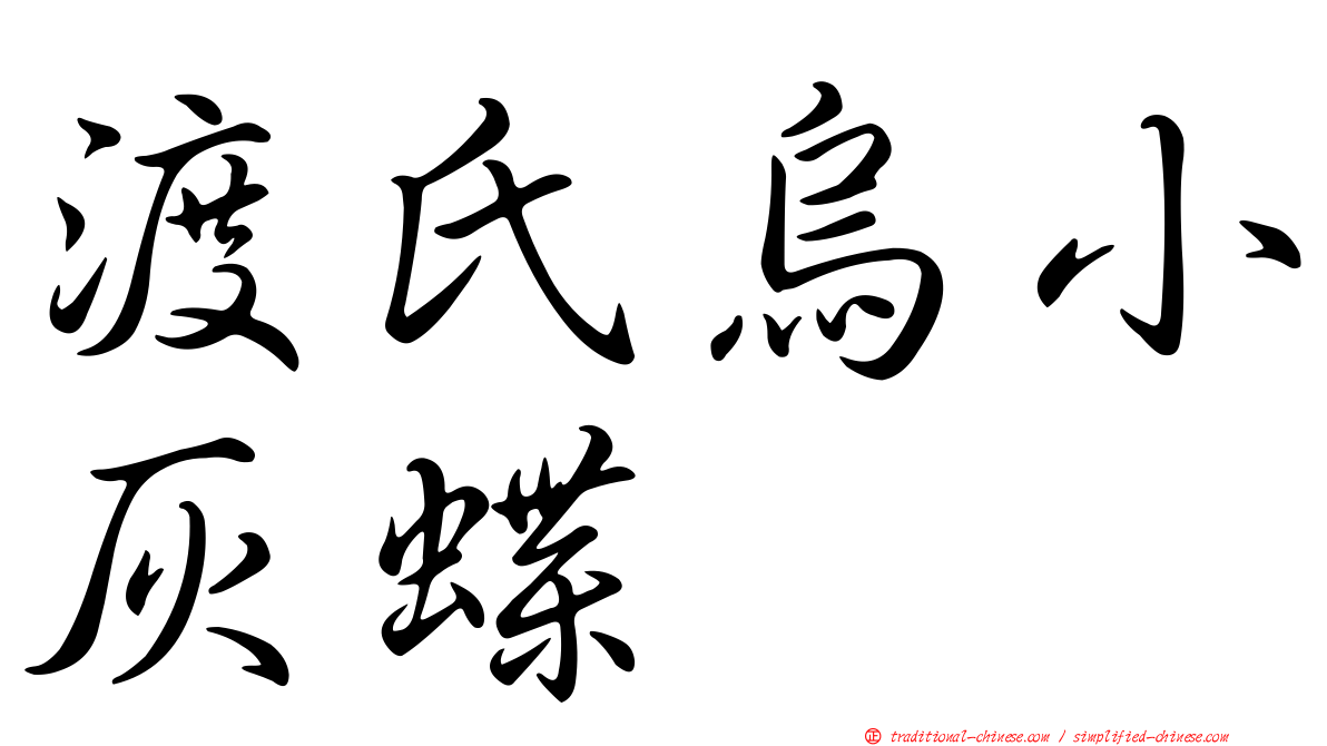 渡氏烏小灰蝶