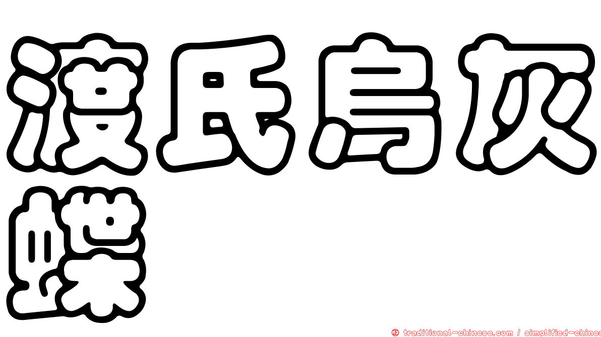 渡氏烏灰蝶