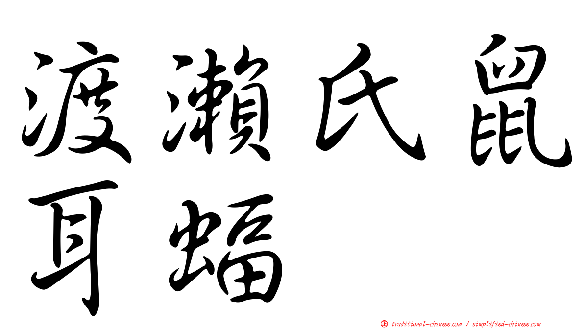 渡瀨氏鼠耳蝠