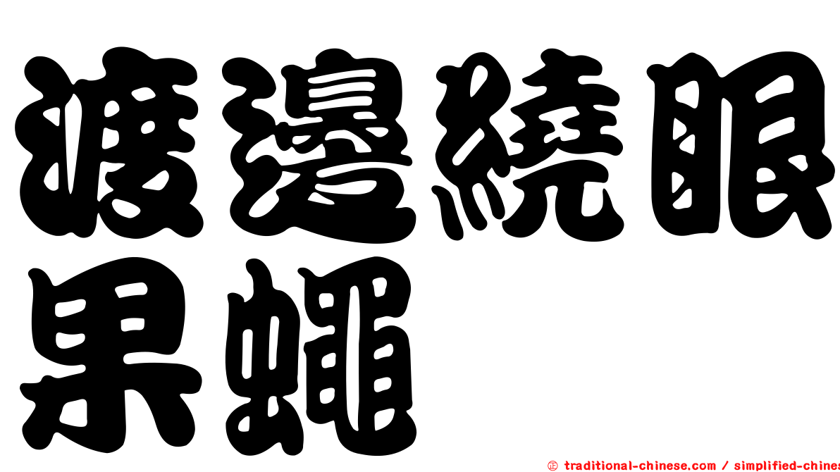 渡邊繞眼果蠅