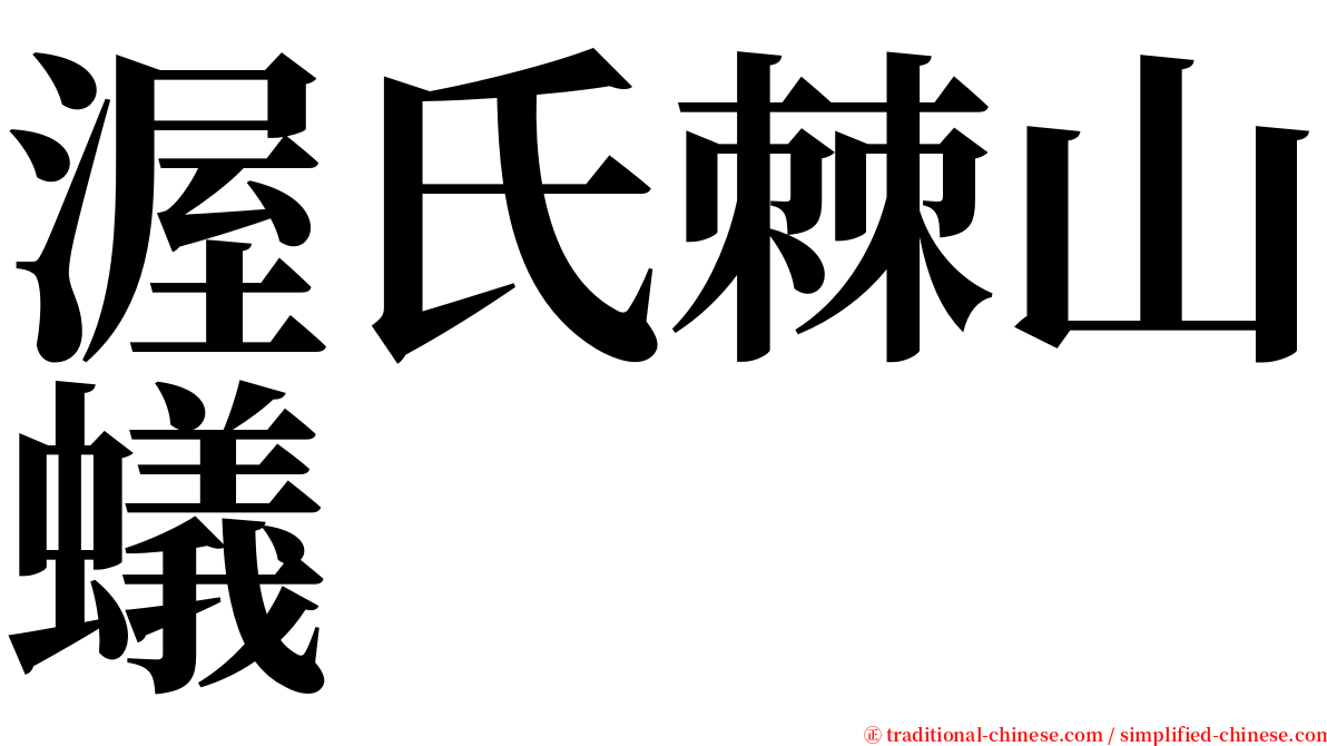 渥氏棘山蟻 serif font