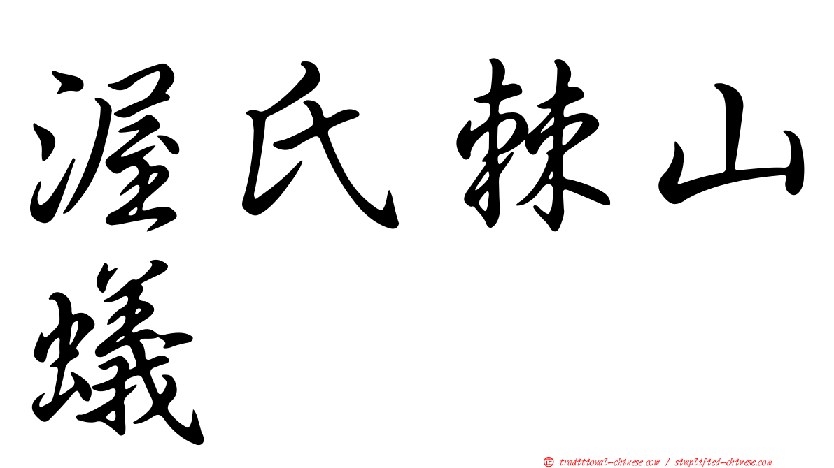 渥氏棘山蟻
