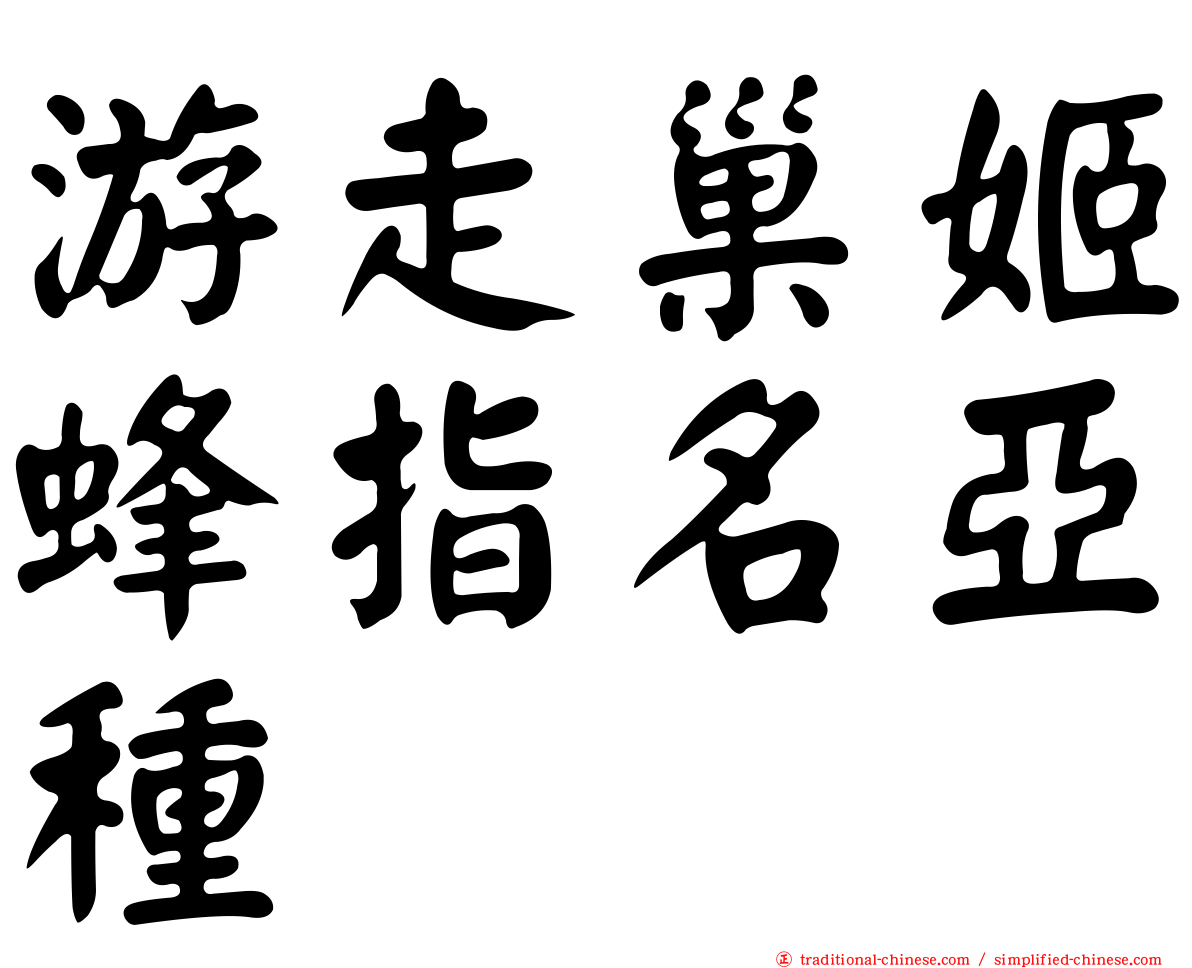 游走巢姬蜂指名亞種