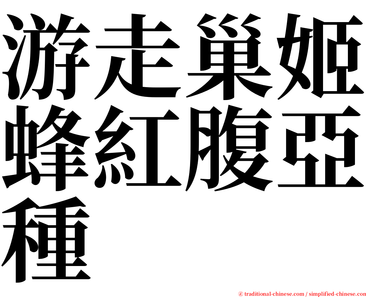 游走巢姬蜂紅腹亞種 serif font