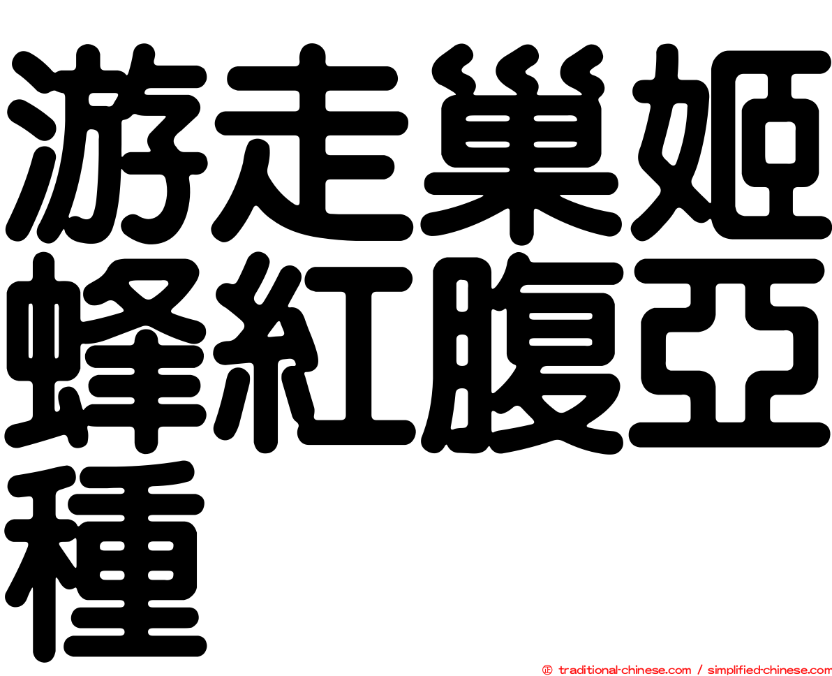 游走巢姬蜂紅腹亞種