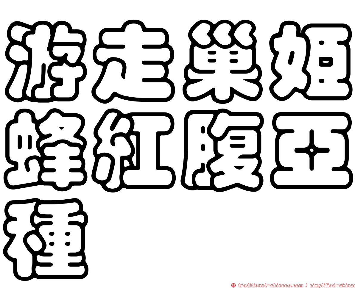 游走巢姬蜂紅腹亞種