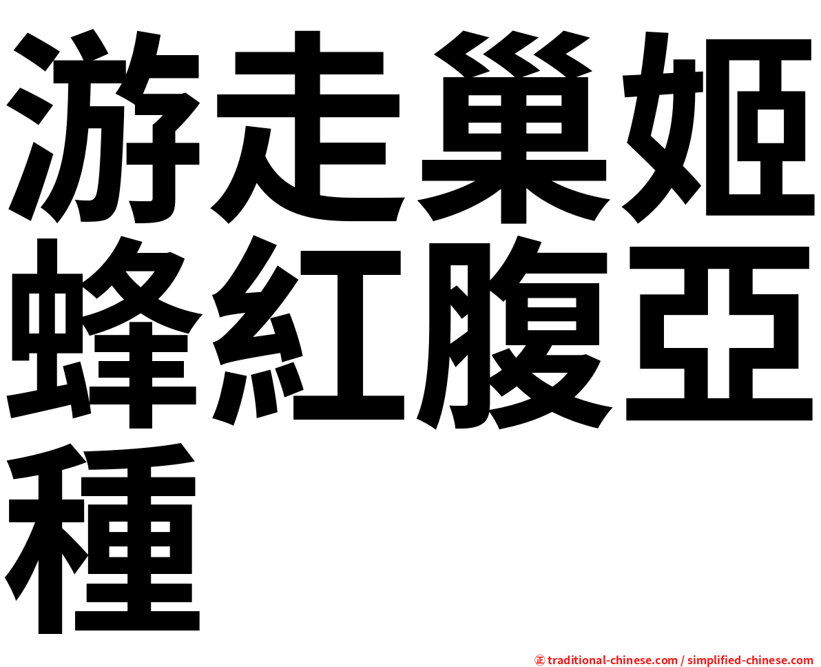 游走巢姬蜂紅腹亞種