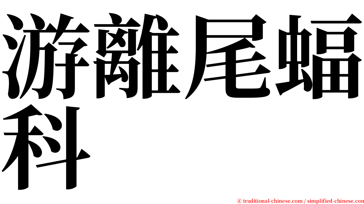游離尾蝠科 serif font