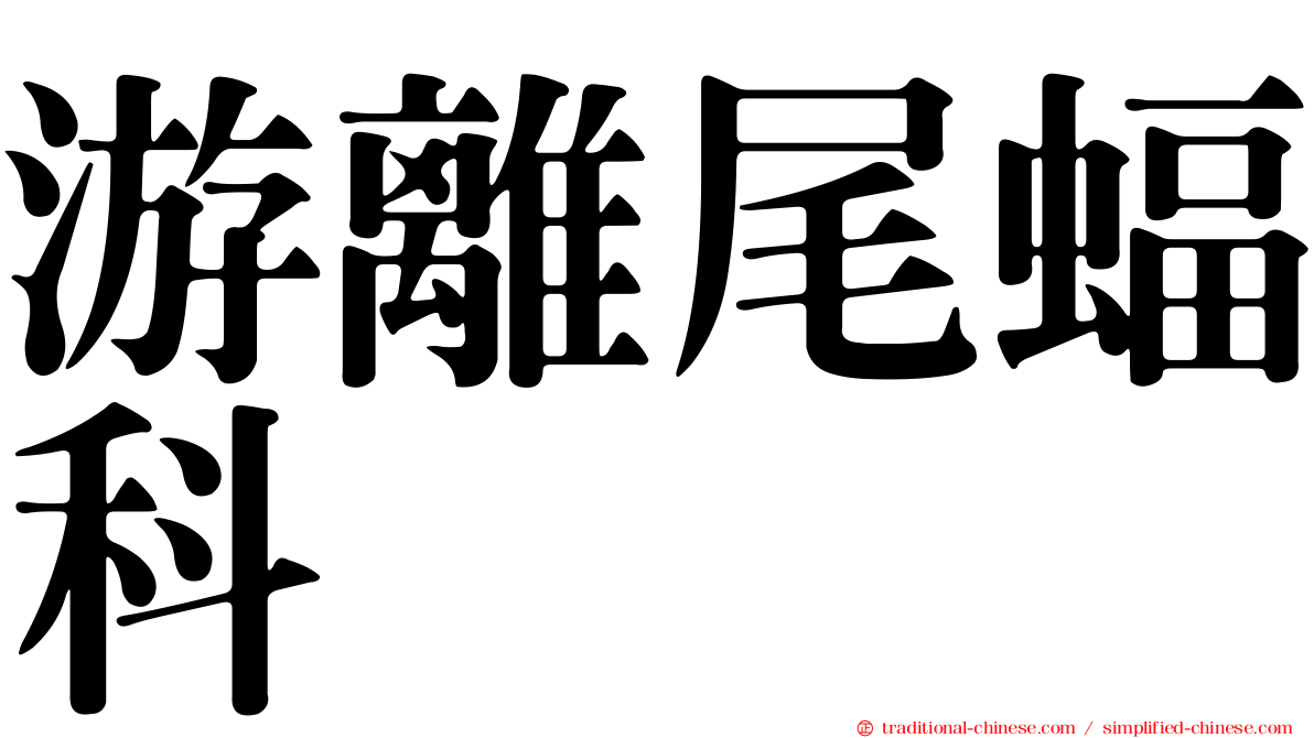游離尾蝠科