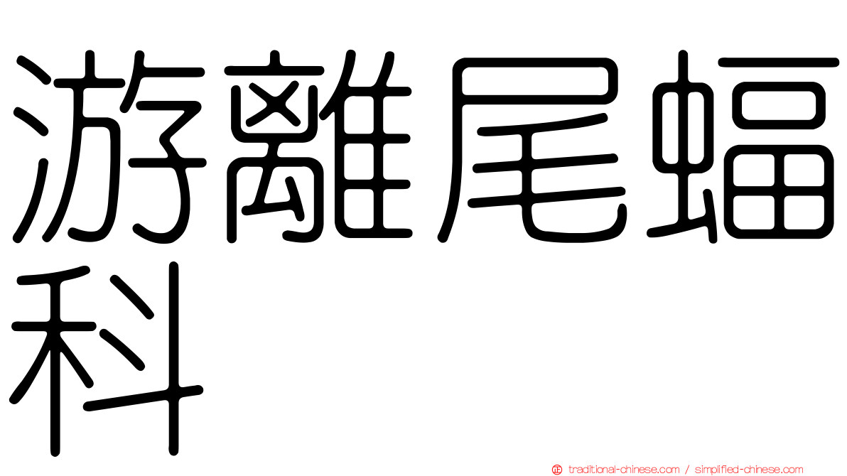 游離尾蝠科