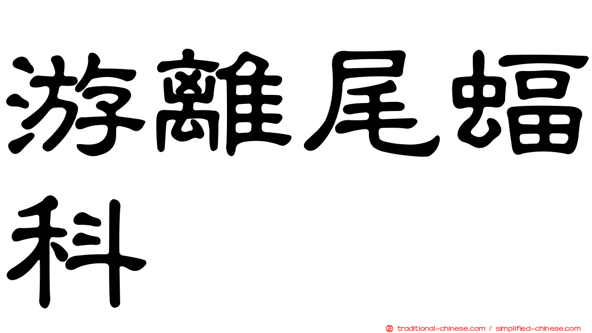 游離尾蝠科