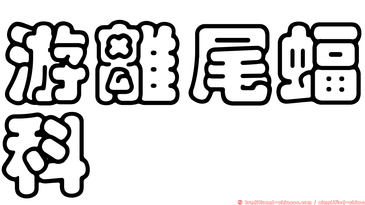 游離尾蝠科