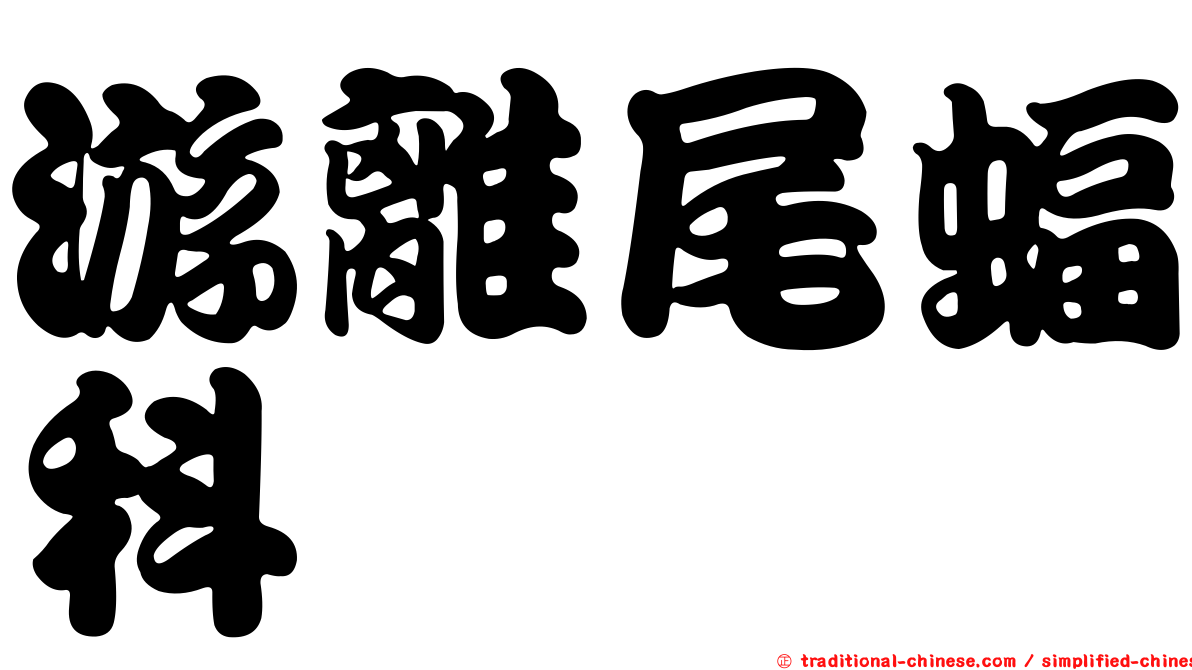 游離尾蝠科