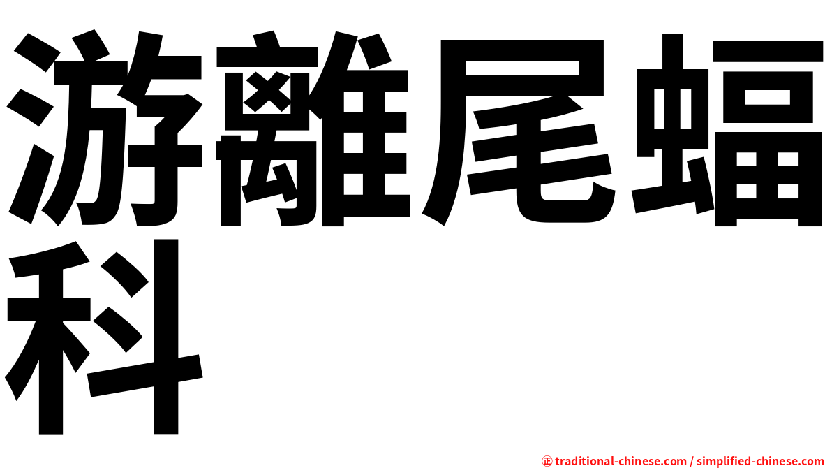 游離尾蝠科