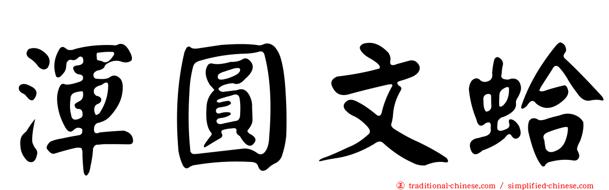 渾圓文蛤