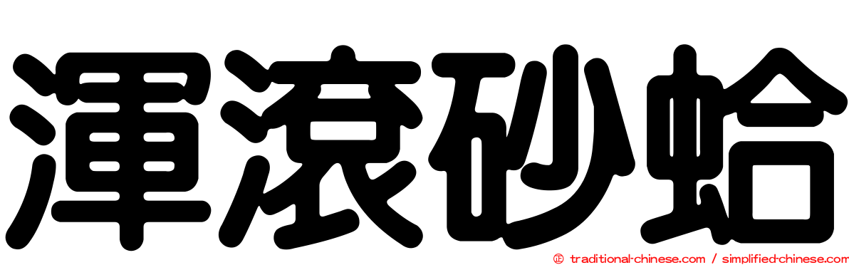 渾滾砂蛤