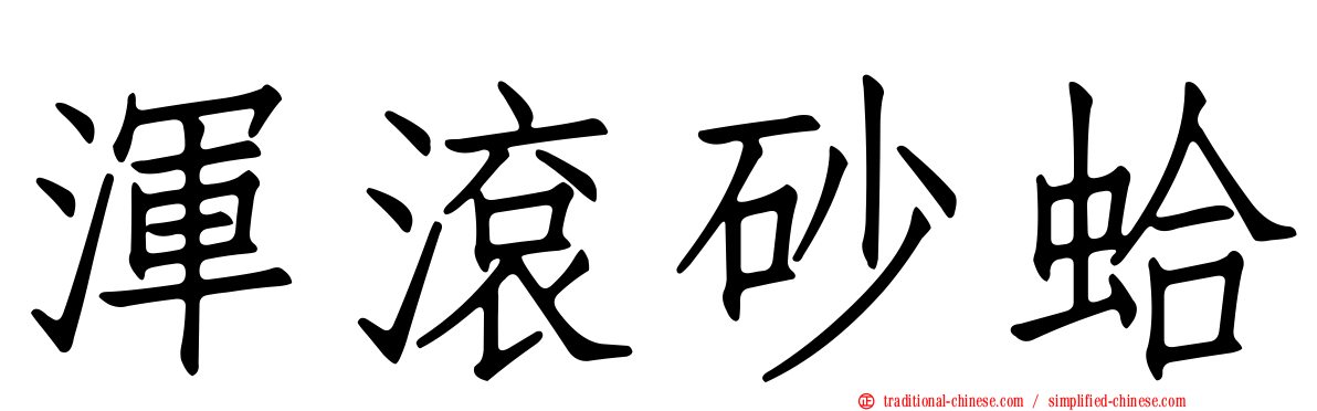 渾滾砂蛤