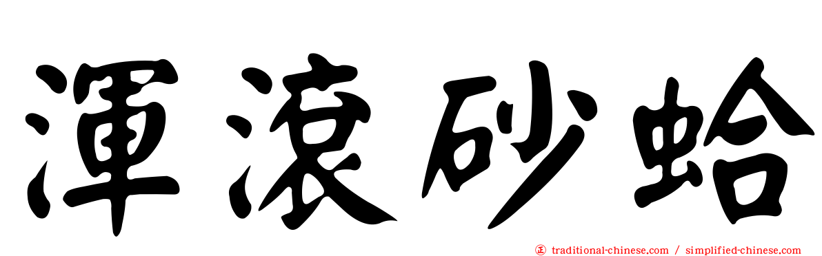 渾滾砂蛤