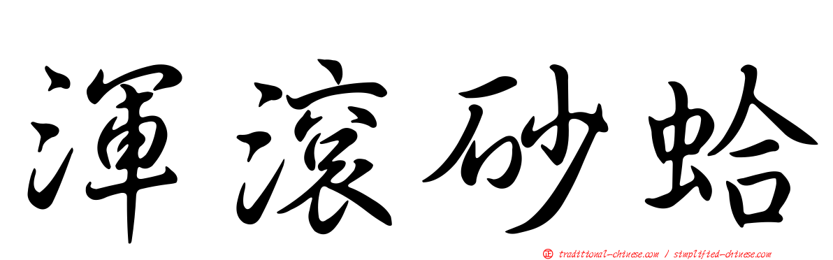 渾滾砂蛤