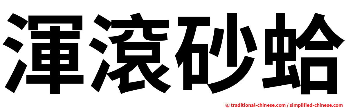 渾滾砂蛤