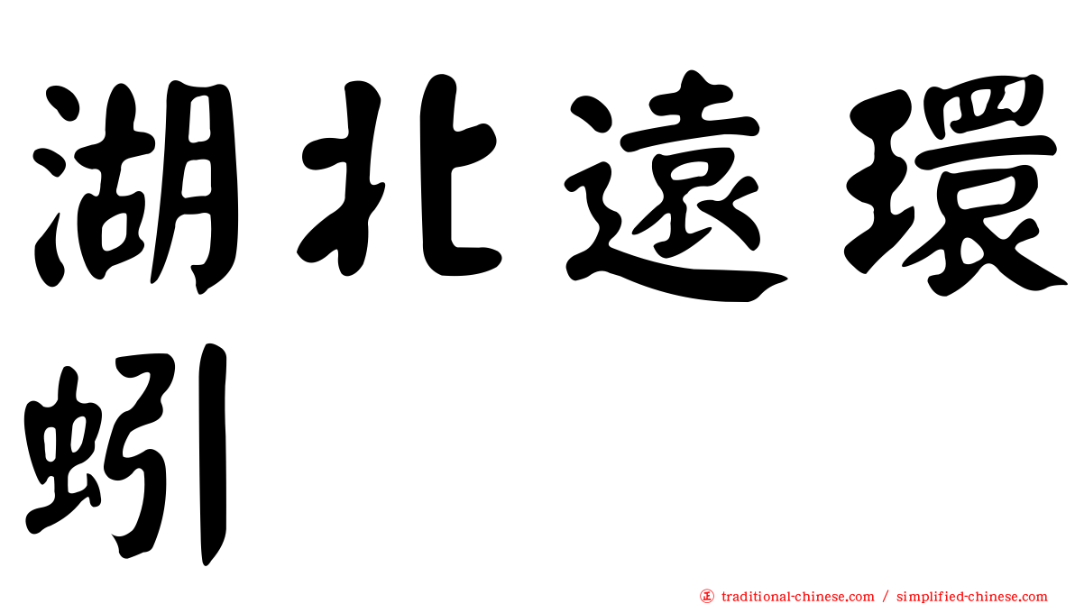 湖北遠環蚓