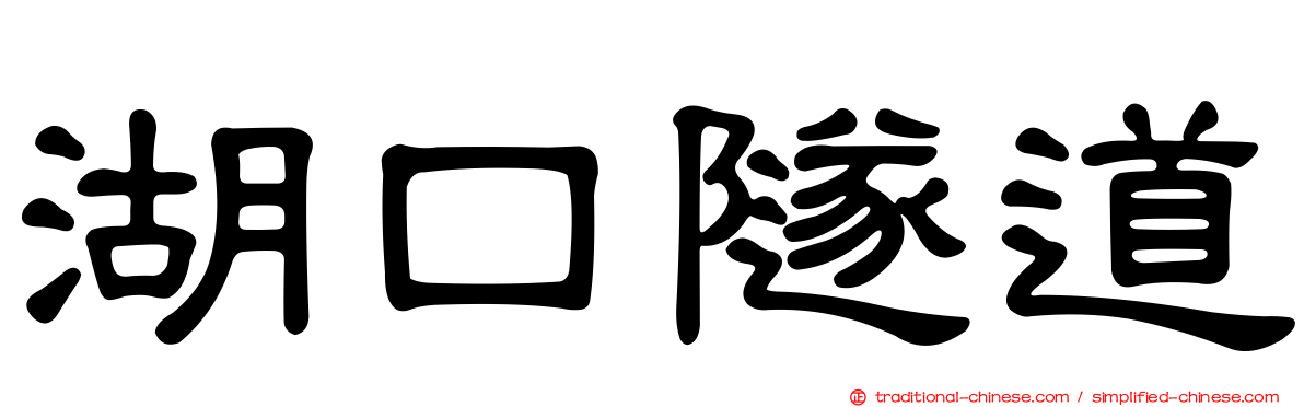 湖口隧道