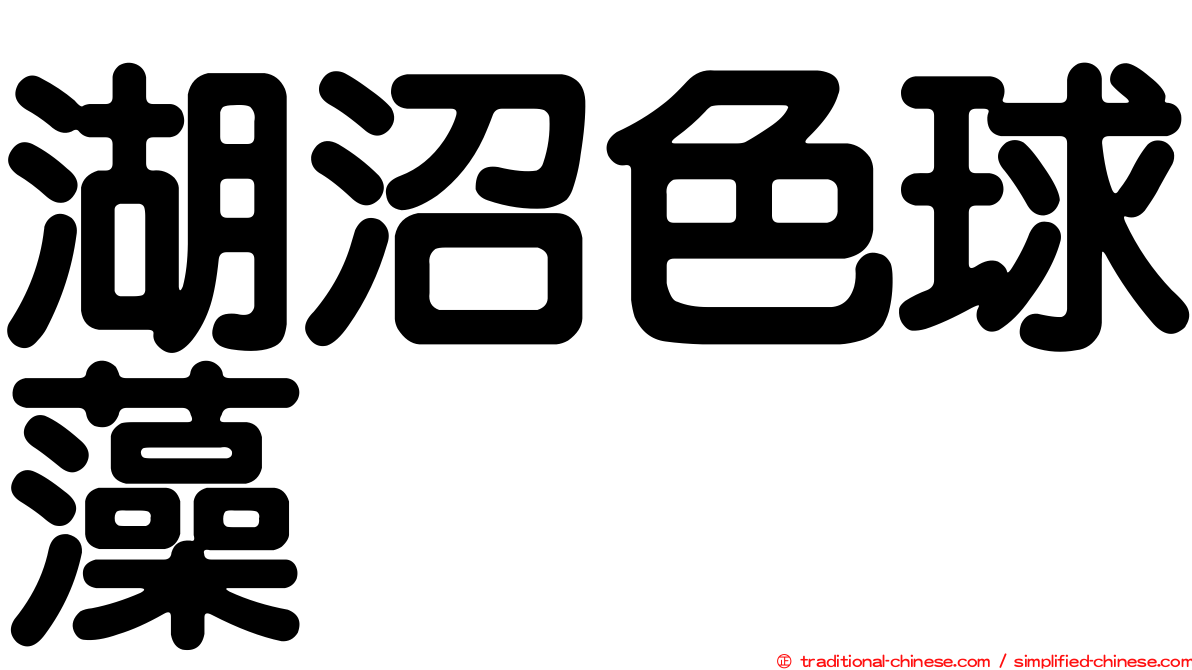 湖沼色球藻