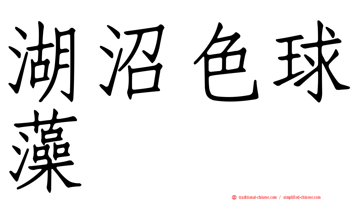 湖沼色球藻
