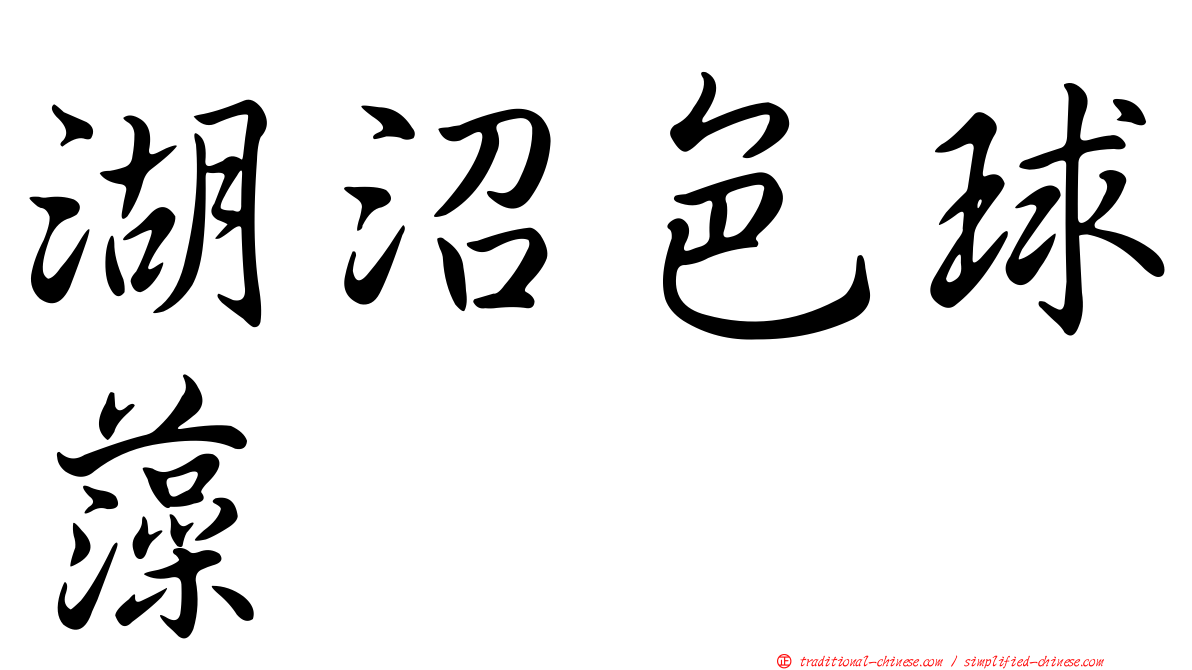 湖沼色球藻